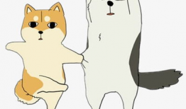 哈士奇 漫画,欢乐逗趣的宠物日常