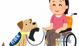 人与狗漫画,温馨互动的欢乐时光